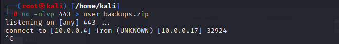 cor netcat.png